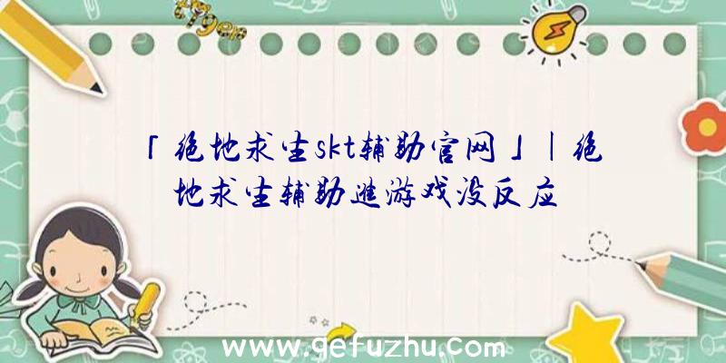 「绝地求生skt辅助官网」|绝地求生辅助进游戏没反应